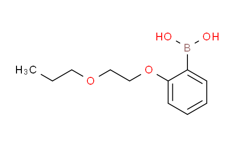 2-(2-Propoxyethoxy)phenylboronic acid