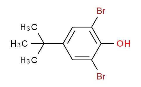 2,6-dibromo-4-tert-butylphenol