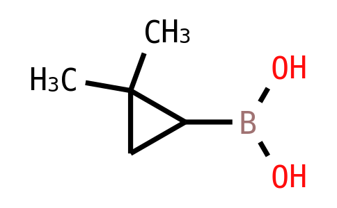 BP29901 | 1089708-34-8 | (2,2-dimethylcyclopropyl)boronic acid