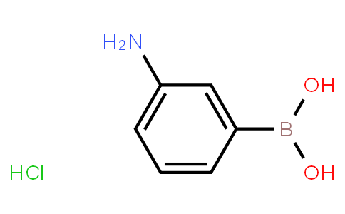3-Aminophenylboronic acid hydrochloride