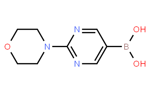 BP20651 | 870521-33-8 | 2-(Morpholine-4-yl)pyrimidine-5-boronic acid