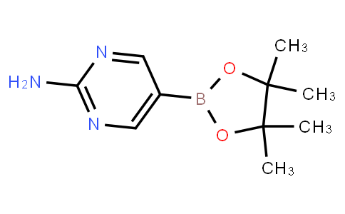 BP20652 | 402960-38-7 | 2-Aminopyrimidine-5-boronic acid pinacol ester