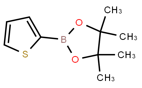 BP20749 | 193978-23-3 | Thiophene-2-boronic acid pinacol ester