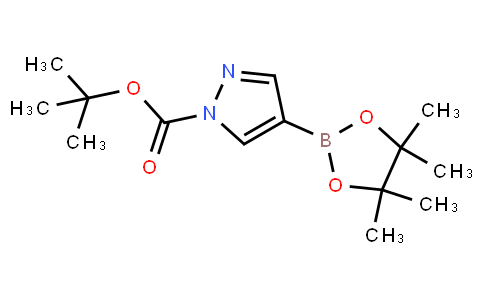 BP21013 | 552846-17-0 | N-Boc-pyrazole-4-boronic acid pinacol ester