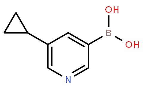 BP21144 | 1044210-58-3 | 5-Cyclopropylpyridin-3-ylboronic acid