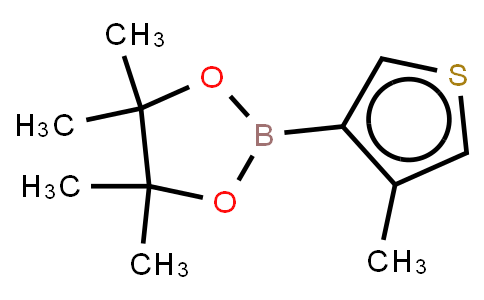 BP21207 | 476620-20-9 | 4-Methylthiophene-3-boronic acid, pinacol ester