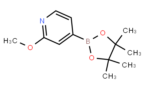 BP21541 | 408502-23-8 | 2-Methoxypyridine-4-boronic acid pinacol ester