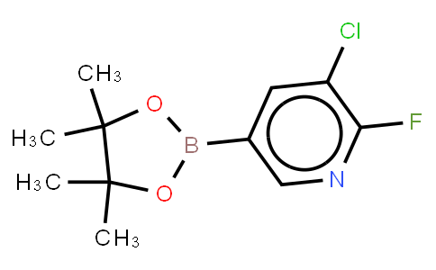 3-Chloro-2-fluoropyridne-5-boronic acid pinacol ester