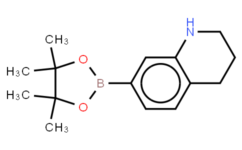 BP21749 | 1235142-07-0 | 7-(4,4,5,5-tetramethyl-1,3,2-dioxaborolan-2-yl)-1,,3,4-trahydroquinoline