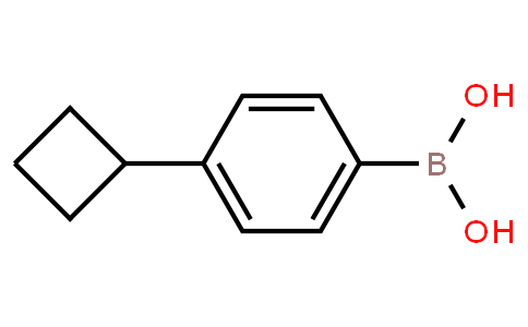BP21780 | 845797-74-2 | (4-Cyclobutylphenyl)boronic acid