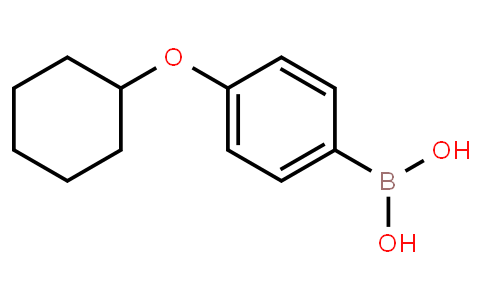 4-(Cyclohexyloxy)phenylboronic acid