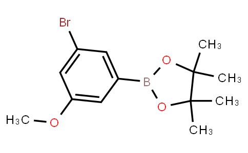 BP22192 | 401797-04-4 | 3-Bromo-5-methoxyphenylboronic acid pinacol ester