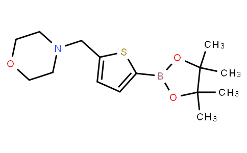 BP22478 | 950603-39-1 | 5-(4-Morpholinylmethyl)thiophene-2-boronic acid pinacol ester