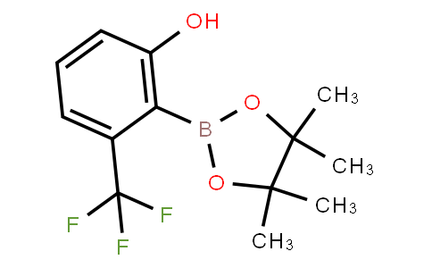 BP22910 | 2-Hydroxy-6-trifluoromethylphenylboronic acid pinacol ester