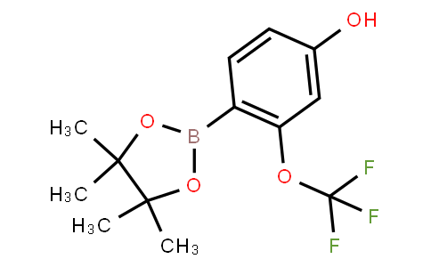 BP22943 | 4-Hydroxy-2-(trifluoromethoxy)phenylboronic acid pinacol ester