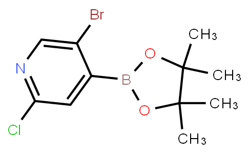 5-Bromo-2-chloropyridine-4-boronic acid pinacol ester