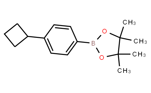 (4-Cyclobutylphenyl)boronic acid pinacol ester