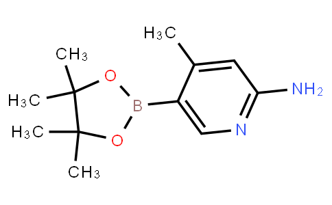 BP23857 | 1220219-94-2 | 4-methyl-5-(4,4,5,5-tetramethyl-1,3,2-dioxaborolan-2-yl)pyridin-2-amine
