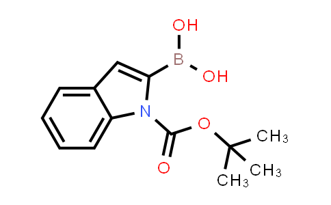 BP23904 | 213318-44-6 | 1-N-BOC-indole-2-boronic acid