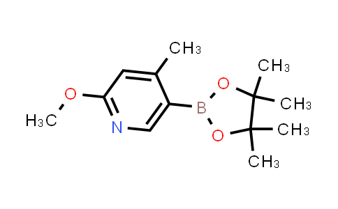 BP24219 | 1093951-66-6 | 2-methoxy-4-methyl-5-(4,4,5,5-tetramethyl-1,3,2-dioxaborolan-2-yl)pyridine