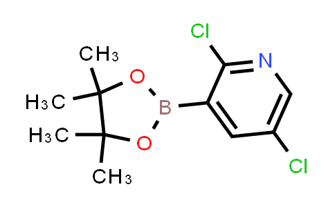 BP24221 | 1073371-98-8 | 2,5-dichloro-3-(4,4,5,5-tetramethyl-1,3,2-dioxaborolan-2-yl)pyridine