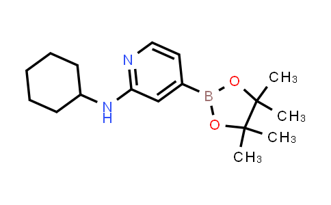 BP24358 | 1346808-50-1 | N-cyclohexyl-4-(4,4,5,5-tetramethyl-1,3,2-dioxaborolan-2-yl)pyridin-2-amine