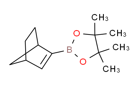 BP25953 | 1219021-46-1 | Bicyclo[2.2.1]hept-2-en-2-ylboronic acid pinacol ester