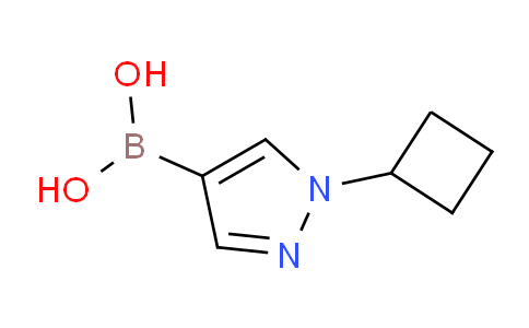 (1-Cyclobutylpyrazol-4-yl)boronic acid