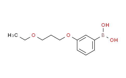 (3-(3-Ethoxypropoxy)phenyl)boronic acid