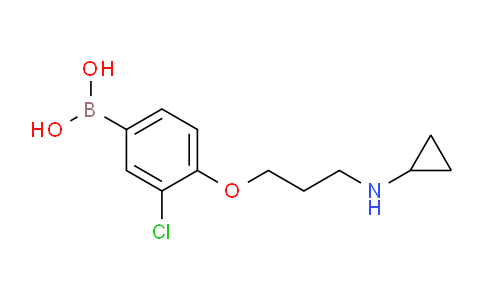 BP28669 | 1704096-89-8 | (3-Chloro-4-(3-(cyclopropylamino)propoxy)phenyl)boronic acid