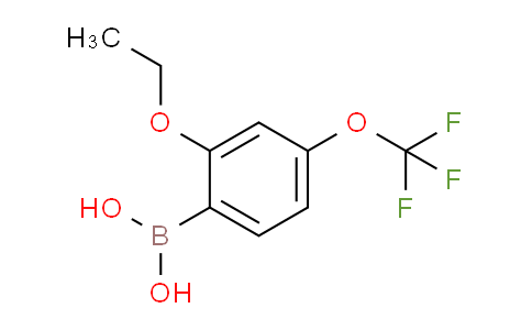 2-Ethoxy-4-(trifluoromethoxy)phenylboronic acid