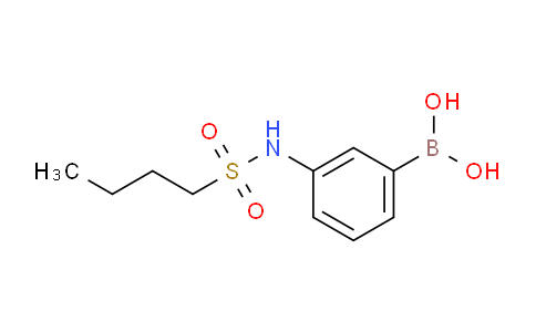 3-(Butylsulfonamido)phenylboronic acid