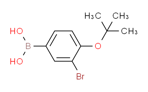 3-Bromo-4-t-butoxyphenylboronic acid