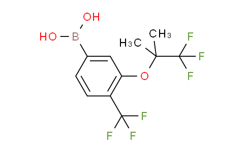 3-(1,1,1-Trifluoro-2-methylpropan-2-yloxy)-4-(trifluoromethyl)phenylboronic acid