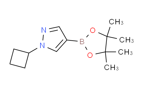 BP30264 | 1002309-48-9 | 1-Cyclobutyl-4-(4,4,5,5-tetramethyl-1,3,2-dioxaborolan-2-yl)-1H-pyrazole