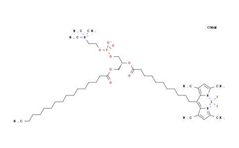 Boron, [(7R)-7-[[12-(3,5-dimethyl-1H-pyrrol-2-yl-κN)-12-(3,5-dimethyl-2H-pyrrol-2-ylidene-κN)-1-oxododecyl]oxy]-4-hydroxy-N,N,N-trimethyl-10-oxo-3,5,9-trioxa-4-phosphapentacosan-1-aminium 4-oxidato(2-)]difluoro-, (T-4)-