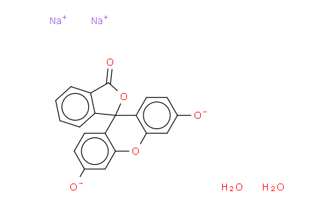 D116A6 | 518-47-8 | Fluorescein Sodium