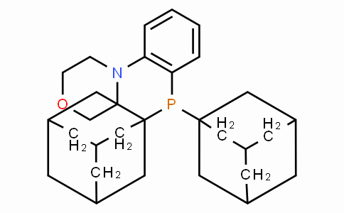 SC11165 | 1237588-12-3 | N-[2-(di-1-adamantylphosphino)phenyl]morpholine
