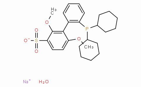2'-Dicyclohexylphosphino-2,6-dimethoxy-3-sulfonato-1,1'-biphenyl hydrate sodium salt