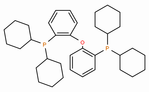 SC11339 | 434336-16-0 | Bis(2-dicyclohexylphosphinophenyl)ether