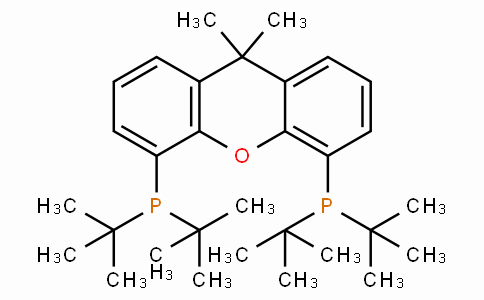 9,9-Dimethyl-4,5-bis(di-t-butylphosphino)xanthene