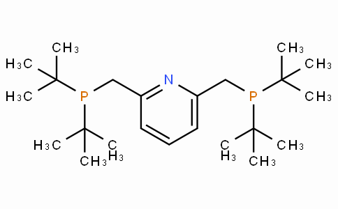 SC11539 | 338800-13-8 | 2,6-Bis(di-t-butylphosphinomethyl)pyridine