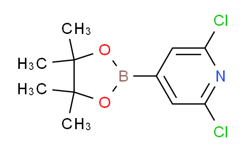 SC119564 | 408492-27-3 | 2,6-Dichloropyridine-4-boronic acid, pinacol ester