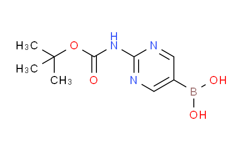 SC120962 | 883231-25-2 | (2-((Tert-butoxycarbonyl)amino)pyrimidin-5-YL)boronicacid