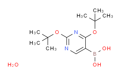 SC120984 | 306935-93-3 | 2,4-DI(Tert-butoxy)pyrimidin-5-ylboronic acid hydrate
