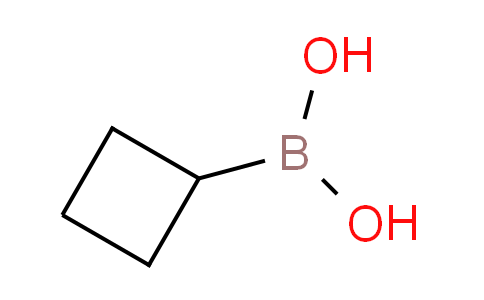 SC120998 | 849052-26-2 | Cyclobutylboronic acid