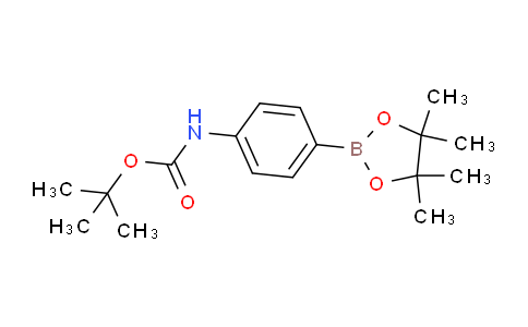 SC121335 | 330793-01-6 | 4-(Boc-amino)benzeneboronic acid pinacol cyclic ester