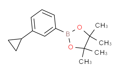SC121373 | 627526-56-1 | 2-(3-Cyclopropyl-phenyl)-4,4,5,5-tetramethyl- [1,3,2]dioxaborolane