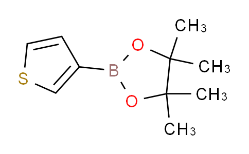 SC121575 | 214360-70-0 | Thiophene-3-boronic acid pinacol ester