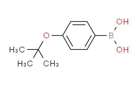 SC122777 | 176672-49-4 | 4-T-Butoxyphenylboronic acid